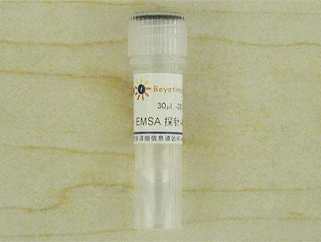EMSA探针－NF-κB (10μM)